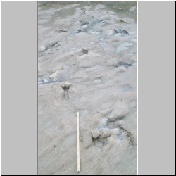 100_0718 (2009-27-07)cr.jpg